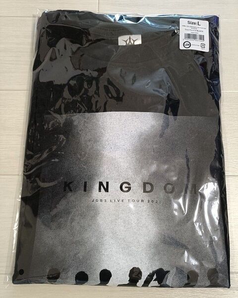 三代目 KINGDOM フォトTシャツ Lサイズ 中古品