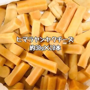 ヒマラヤンヤクチーズ愛犬用おやつお得用! 約30g×10本 churupii(チュルピー)正規品 100%自然食品