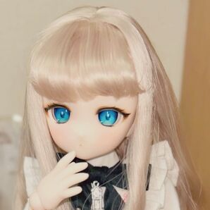 カスタムヘッド SW肌 MDD ソフビ盛り DDH-27