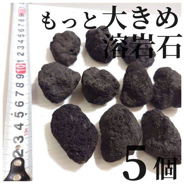 溶岩石 もっと大きめ5個(テラリウム・コケリウム・アクアリウムにぴったり)