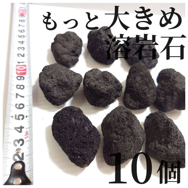 溶岩石 もっと大きめ10個(テラリウム・コケリウム・アクアリウムにぴったり)