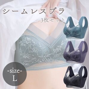シームレスブラ ノンワイヤー Lサイズ ブラック 3枚セット コンパクト 着痩せ 快適 ナイトブラ 美胸