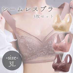 シームレスブラ ノンワイヤー 3L ベージュ系 3枚セット コンパクト 着痩せ ナイトブラ 快適 美胸