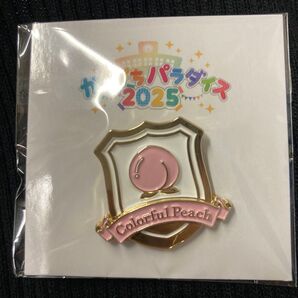 からぴちパラダイス 2025 ピンバッジ 桃