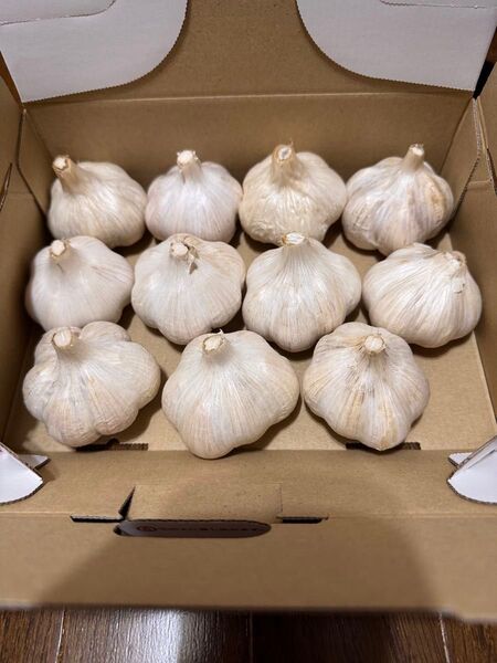 農家直送にんにく(無農薬) Lサイズを中心に11個:700g (半乾燥・土付き・岡山県産)