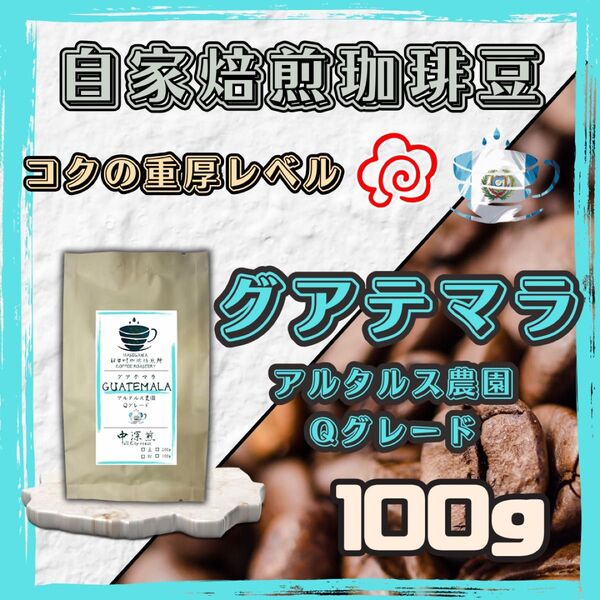 【自家焙煎珈琲豆】100g グアテマラ アルタルス農園 Qグレード