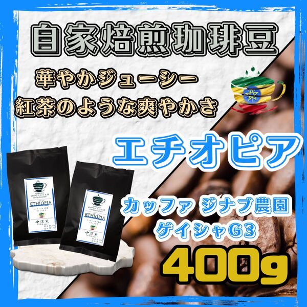 【自家焙煎珈琲豆】400g エチオピア カッファ ジナブ農園 ゲイシャG3