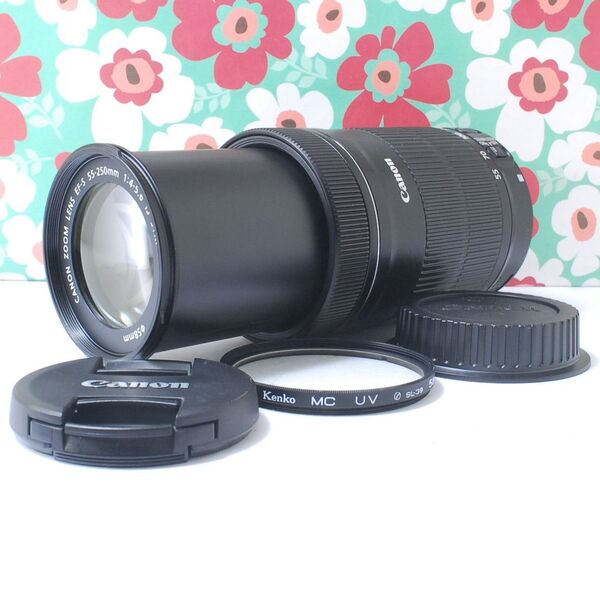 ★極上美品★Canon EF-S 55-250mm F4-5.6 IS STM★