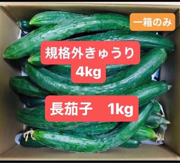 農薬無し栽培 規格外きゅうり4kg 長茄子1kg (箱を除いた野菜だけの重量)