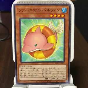 遊戯王 ノーマル　1枚　ファーニマル・ドルフィン