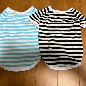 ペットウェア ドッグウエア Tシャツ 半袖 ボーダー柄 犬服 犬の服 L ペットウェア 猫 2着セット