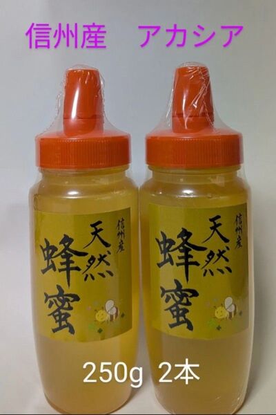 信州産 天然蜂蜜アカシア 250g 2本