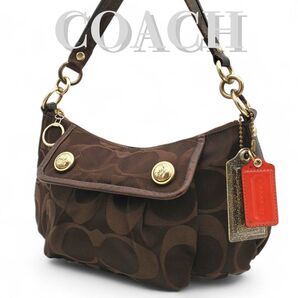COACH ワンショルダー ポピー シグネチャー サテン 肩掛け y2k 茶