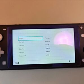 Nintendo Switch Lite グレー ニンテンドースイッチライト