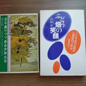 立ち直りつつある少年たち 第3集 ぶどう畑の笑顏 2冊セット