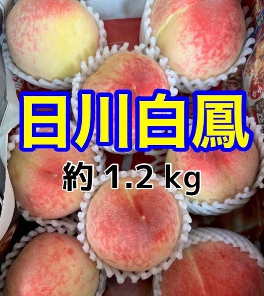 【 日川白鳳 】約1.2kg ご家庭用 5〜8玉