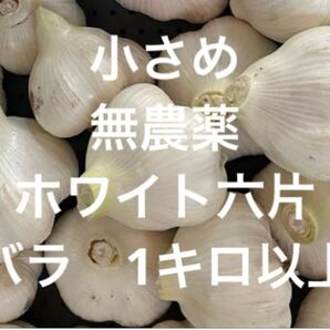 秋田県産 無農薬 新鮮 にんにく ニンニク ホワイト六片 バラ 小さめ 1キロ以上