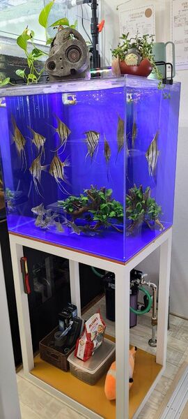 中古 アクリル水槽 濾過槽 セット
