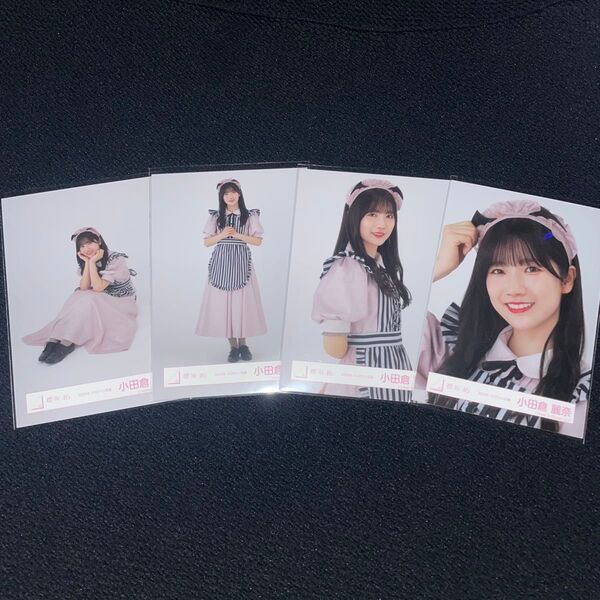 櫻坂46 小田倉麗奈 2024年 ハロウィン衣装 生写真 コンプ