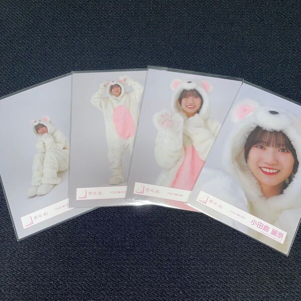櫻坂46 小田倉麗奈 どうぶつ着ぐるみ 生写真 コンプ