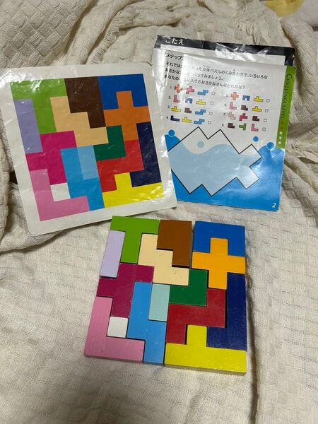 立体パズル エド・インター 知の贈り物シリーズ 学習玩具 知育玩具 木製おもちゃ