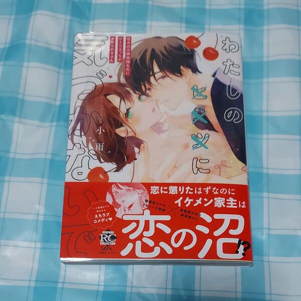 わたしの×××に気づかないで 住み込み家政婦なのにひとりえっちがやめられません