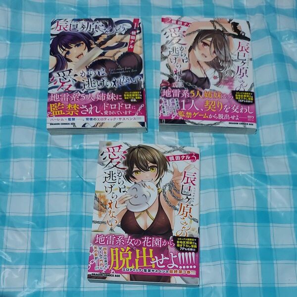 辰巳ヶ原さんの愛からは逃げられない 全3巻