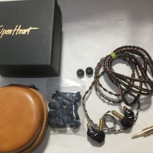 OpenHeart レジンシェルイヤホン