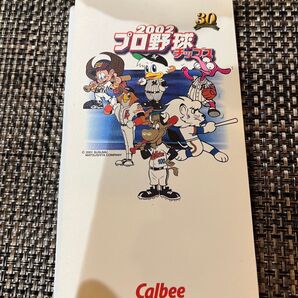 プロ野球 チップス カード 2002 ファイルセット!匿名発送