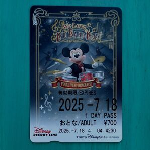 使用済み1枚 ディズニーリゾートライン 1Daypass フリー切符 BBB