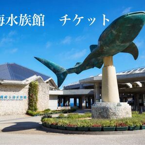 美ら海水族館 チケット