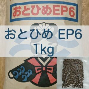 【送料無料】おとひめEP6 沈下性 1kg 真空パック エイ 錦鯉 ポリプテルス エンドリ ダトニオ キャット なまず