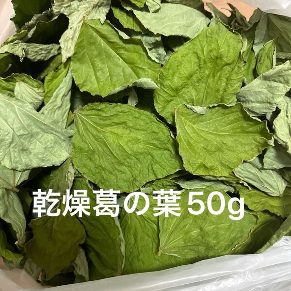 乾燥葛の葉 50g S〜Mサイズ 岐阜県産 無農薬 草食動物のおやつ サマーセール