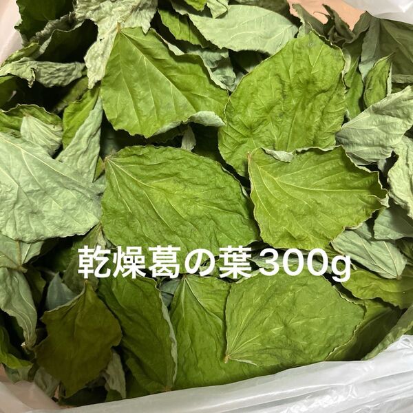 乾燥葛の葉300g S〜Mサイズ 岐阜県産 無農薬 草食動物のおやつ サマーセール