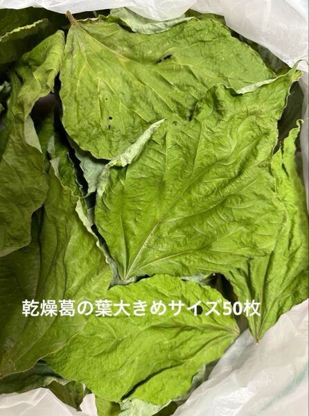 乾燥葛の葉LLサイズ50枚 岐阜県産 無農薬 草食動物のおやつ サマーセール