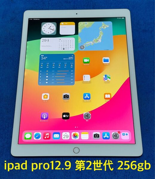 iPad pro 12.9インチ 第2世代 256gb ゴールド②