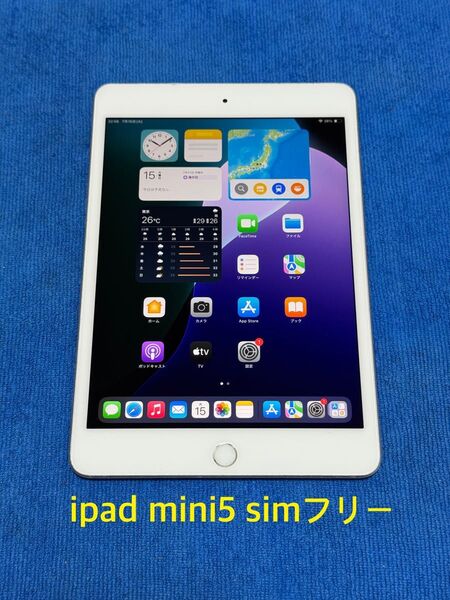 iPad mini 第5世代 Wi-Fi+Cellular 64GBシルバー33