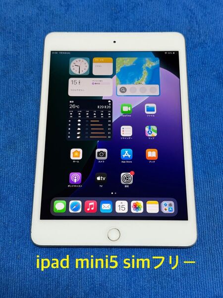 iPad mini 第5世代 Wi-Fi+Cellular 64GBシルバー34