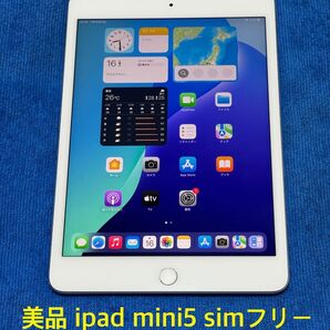 iPad mini 第5世代 Wi-Fi+Cellular 64G シルバー36