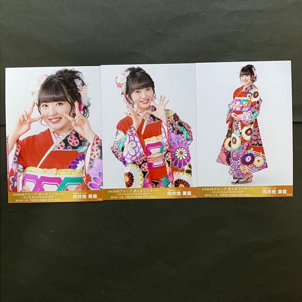 向井地美音 AKB48 生写真 成人式コンサート ランダム 3枚コンプ