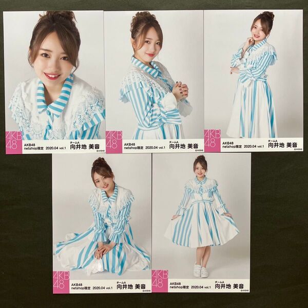 向井地美音 AKB48 生写真 5枚コンプ 120