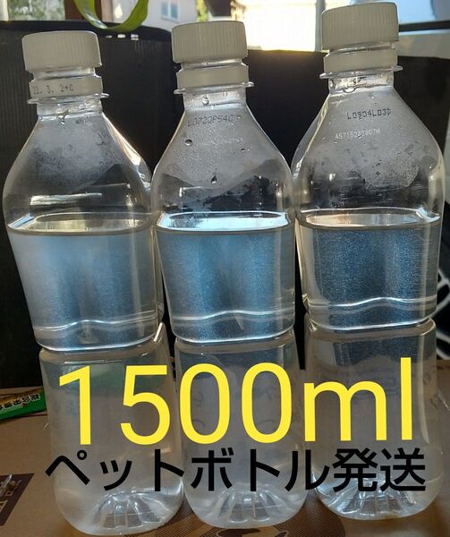 魚のエサ 1500ml。ペットボトル発送。ゾウリムシ メダカ 金魚 めだか エサ ミジンコ グリーンウォーター