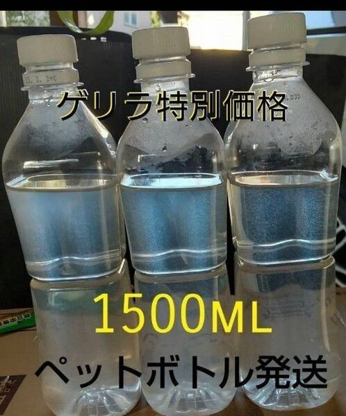 ゲリラセール!魚のエサ 1500ml。ペットボトル発送。ゾウリムシ メダカ 金魚 めだか エサ ミジンコ グリーンウォーター