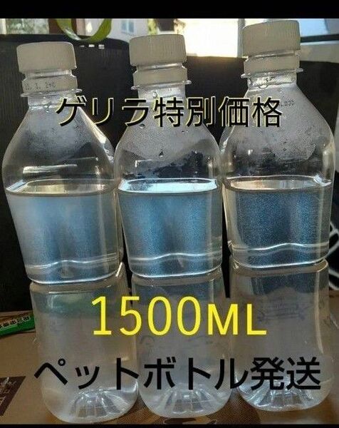 ゲリラセール!魚のエサ 1500ml。ペットボトル発送。ゾウリムシ メダカ 金魚 めだか エサ ミジンコ グリーンウォーター