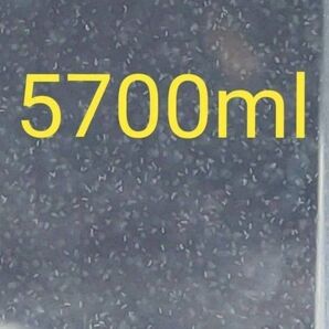 魚のエサ 5700ml。ペットボトル発送1900ml×3本。ゾウリムシ メダカ 金魚 ミジンコ グリーンウォーター PSB