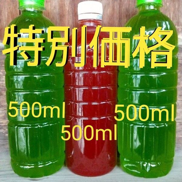 特別価格! 天然 グリーンウォーター(青水.種水)1000ml& PSB(光合成細菌)500ml メダカ ゾウリムシ ミジンコ