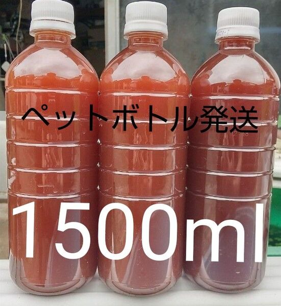 PSB (光合成細菌) 1500ml。 ペットボトル発送。めだか ゾウリムシ 金魚 メダカ ミジンコ