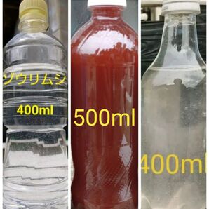 魚のエサ 800ml & PSB(光合成細菌) 500ml。ゾウリムシ ペットボトル発送!メダカ 金魚 ミジンコ