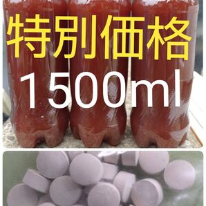 PSB(光合成細菌)1500ml &培養錠 30錠 (の出品です。バクテリア メダカ らんちゅう金魚 熱帯魚 ゾウリムシ めだか