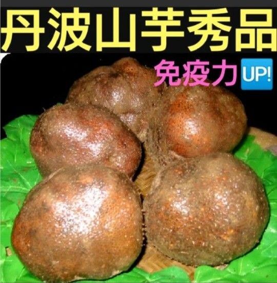 ★夏バテに★夏季限定応援価格!!丹波特産山の芋秀品1キロ(山芋) つくね芋 とろろ 疲労回復 パワーフード アンチエイジング食材